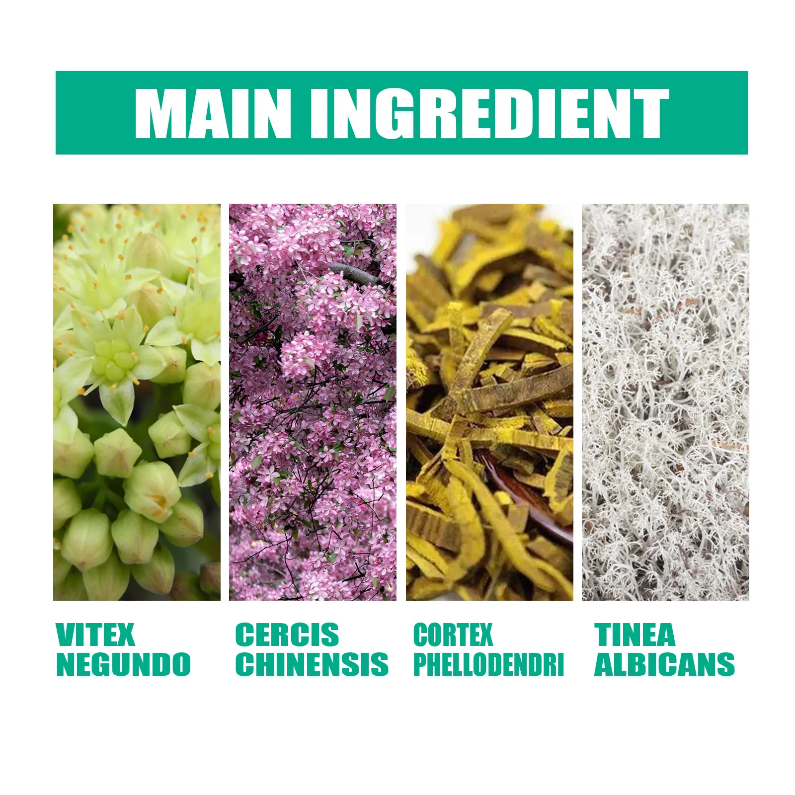 Extra forte tratamento de fungos nas unhas soro essência óleo cuidados reparação essência anti infecção do dedo do pé gel pés creme remoção unhas fungos