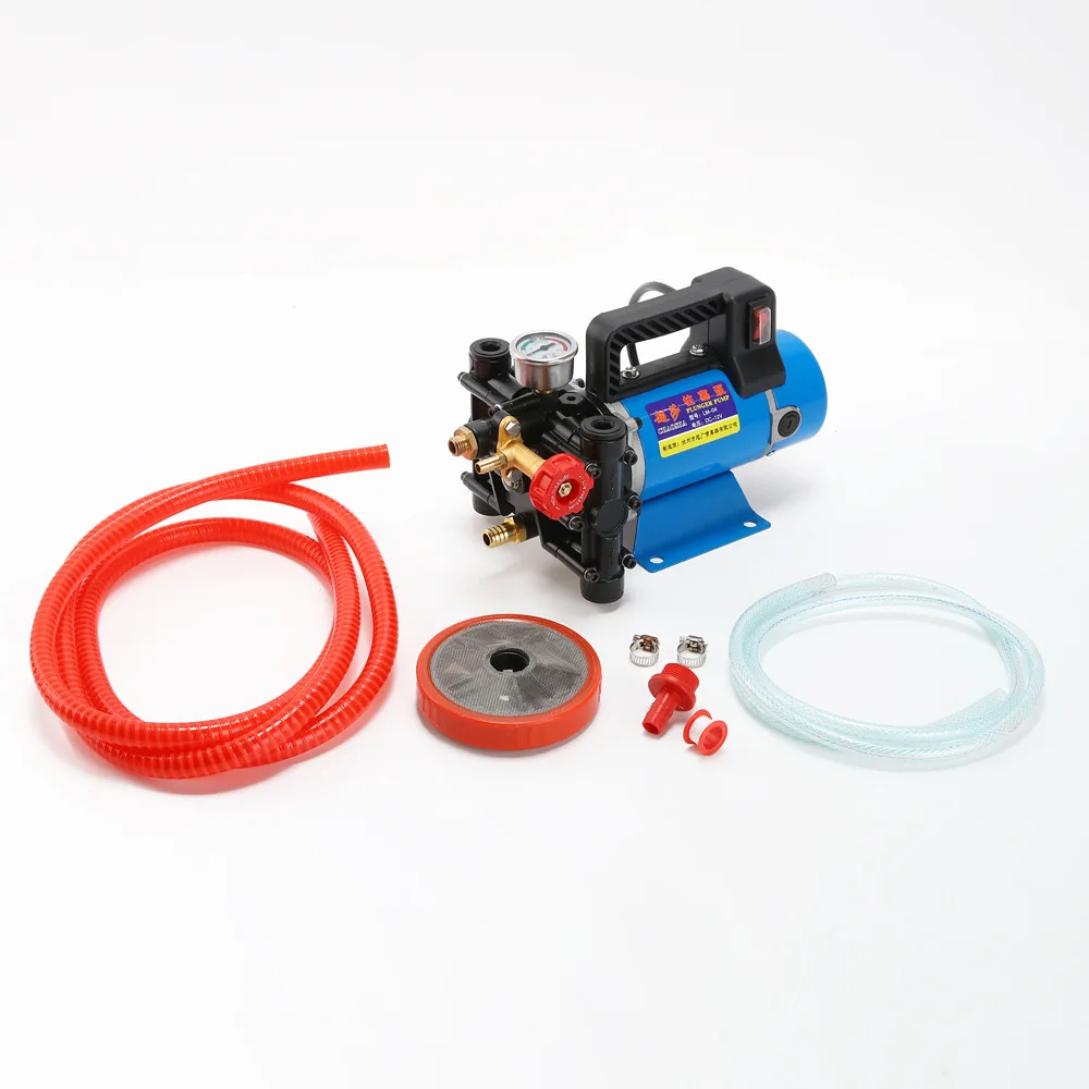 Portable high-pressure plunger pump 12V24V48V60V220V electric spray double cylinder high-pressure dosing pump