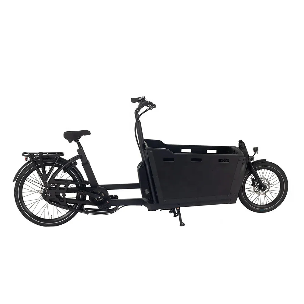 OEM 2 Wheel Electric Cargo Bike
