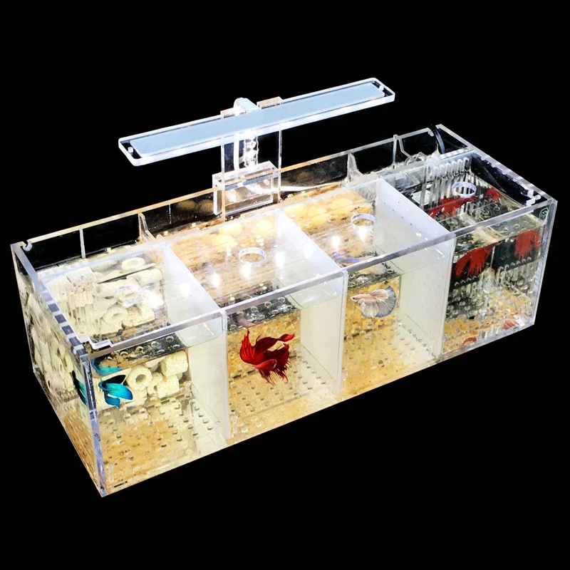 220V Creative Betta Fish Tank Breeding Incubator Isolation Box Water-free Desktop Small Acrylic Ecological Aquarium Tank