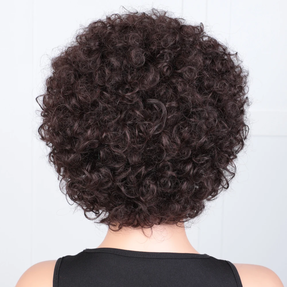 Rebecca-Perruque brésilienne naturelle Remy, cheveux humains crépus bouclés, coupe au carré, couleur brun, afro, densité 250, pour femmes