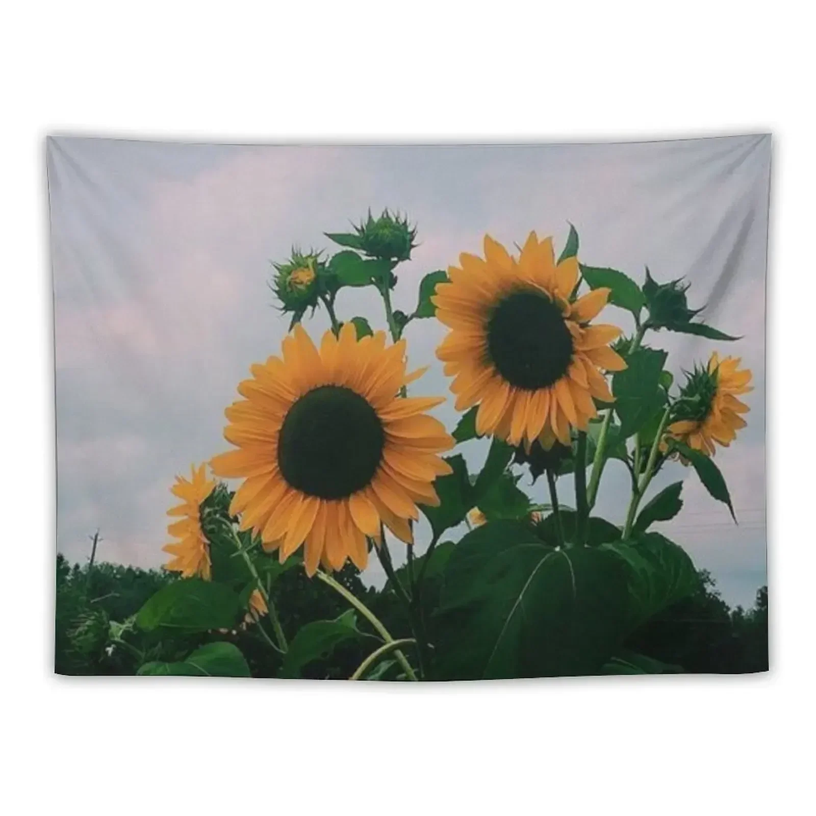 

Sunflower Skies Tapestry Aesthetic Decoration Home Decorations Aesthetic Cute Room Things Room Decore Aesthetic Tapestry