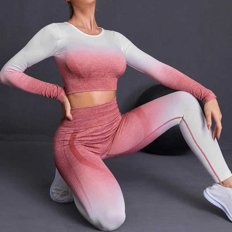 Seamless Yoga Sets Sports Fitnes High Waist Hip Raise Pants Long-Sleeved Suits Workout Clothes Gym Shorts Set for Women