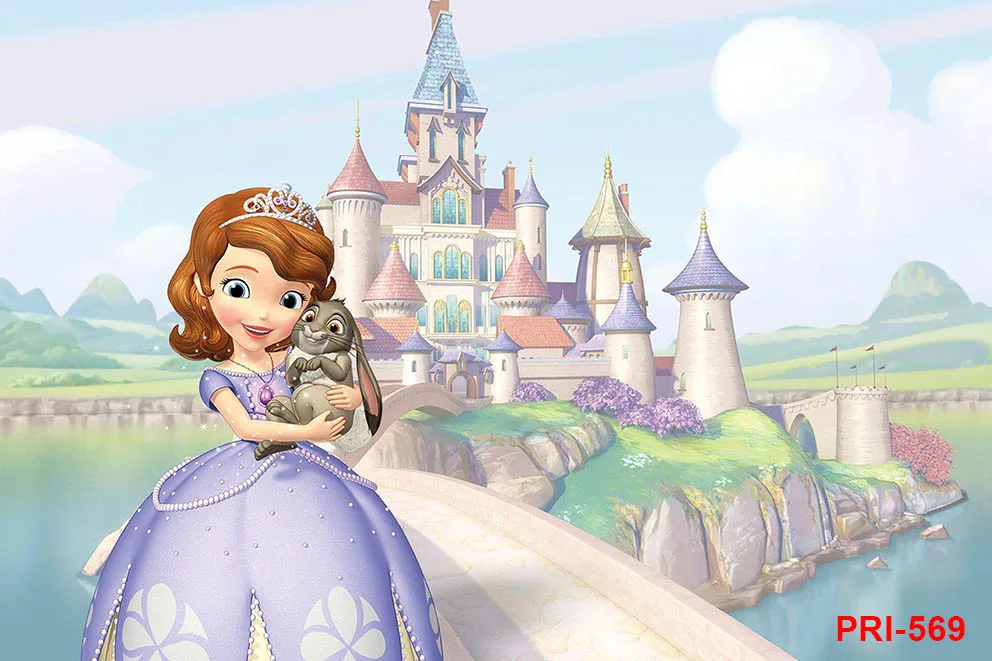 خلفية التصوير الفوتوغرافي صوفيا الأميرة الفتيات حفلة عيد ميلاد خلفية غرفة نوم الديكور راية استحمام الطفل لاستوديو الصور