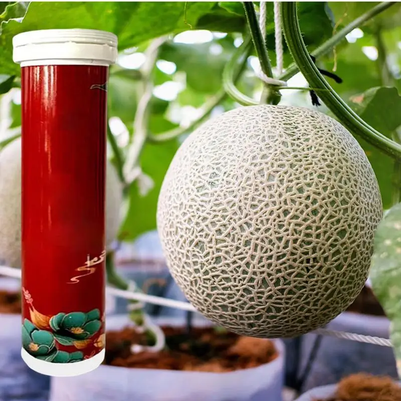 Slow Release Fertilizer Home Gardening Slow-release Tablet Fertilizer Ease Food Make Feeding Your Greeny A Breeze 22pcs A Bottle