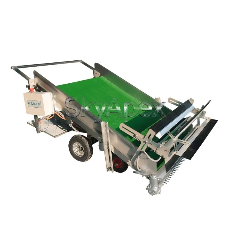 Agricultural Machinery Greenhouse Leafy Vegetable Harvester Self-propelled Cutter Farm Harvesting Equipment