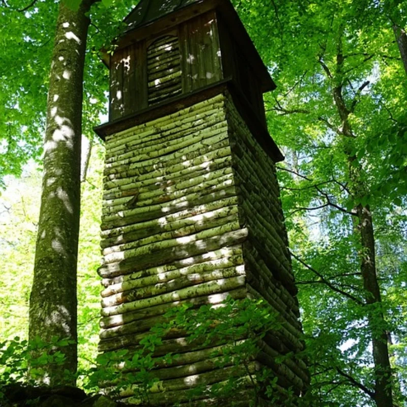 

Для X-Maxx 4*56 мм стальной штифт A-образного рычага с гайкой M3 ремонт RC автомобильные аксессуары DIY Запчасти