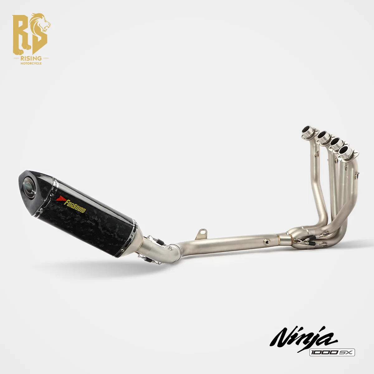 

RS Motorcycle Full Exhaust System Front Mid Pipes with Carbon Fiber Tail Premium Titanium For Kawasaki Ninja 1000SX RS Original