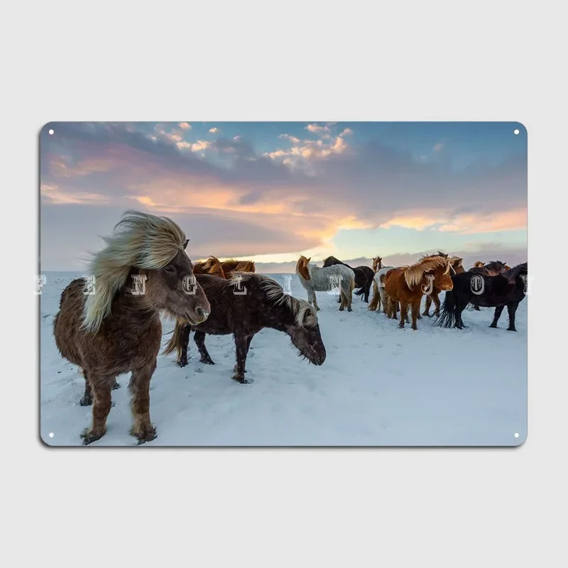 الخيول الأيسلندية في الثلج لوحة معدنية ملصق نادي بار جدار الكهف الرجعية المرآب الديكور تين تسجيل الملصقات