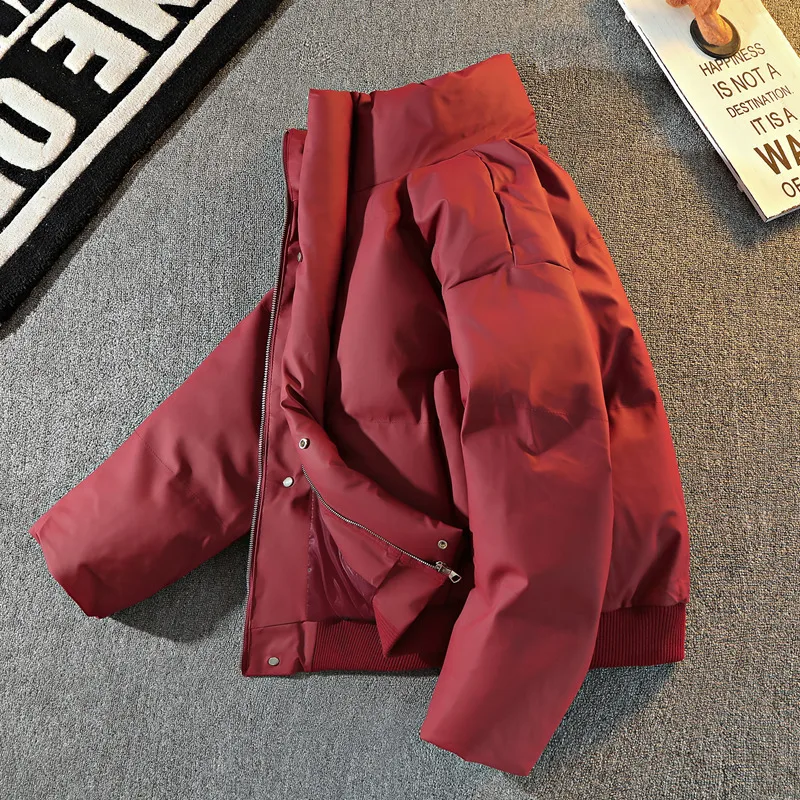 الشتاء رجل سترة أسفل سترة رشاقته الباردة واقية الوقوف طوق سحاب أكمام طويلة الذكور معطف فضفاض خفيفة الوزن اليومية الرجال ملابس خارجية