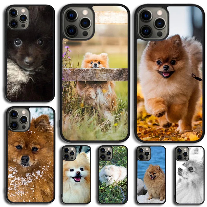 Pomeranian Dog Phone Case For apple 16 Plus X XS Max XR iPhone 16 15 14 13 12 Mini 11 Pro Max  Cover Shell coque