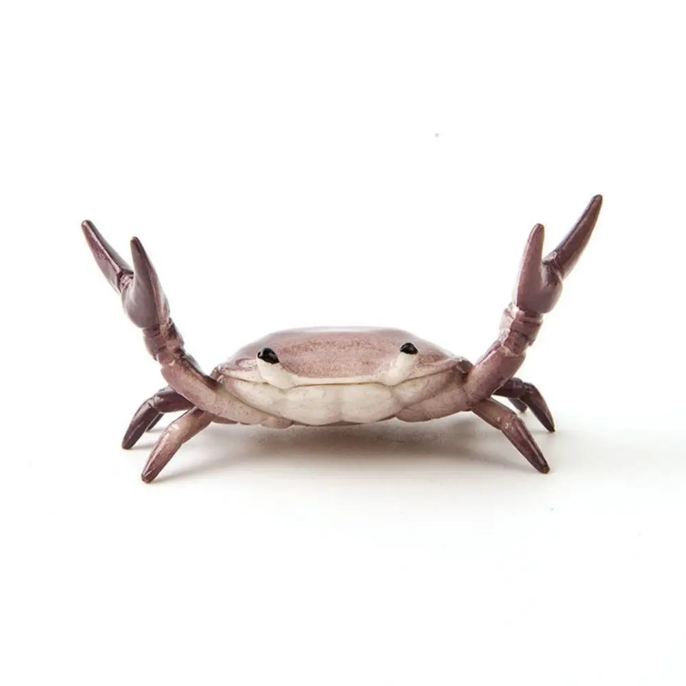 Desktop Organizer Weightlifting Crabs Pen Holder Simulation Animal Multifunctional Crab Lobster Pen Holder Pen Storage Rack
