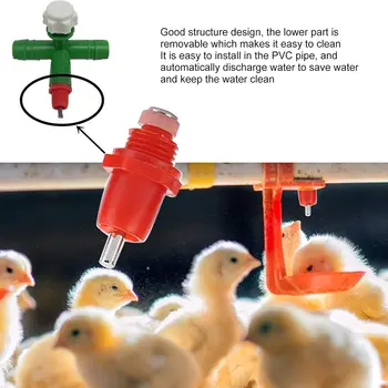 10 best sales שתיין עוף - №4