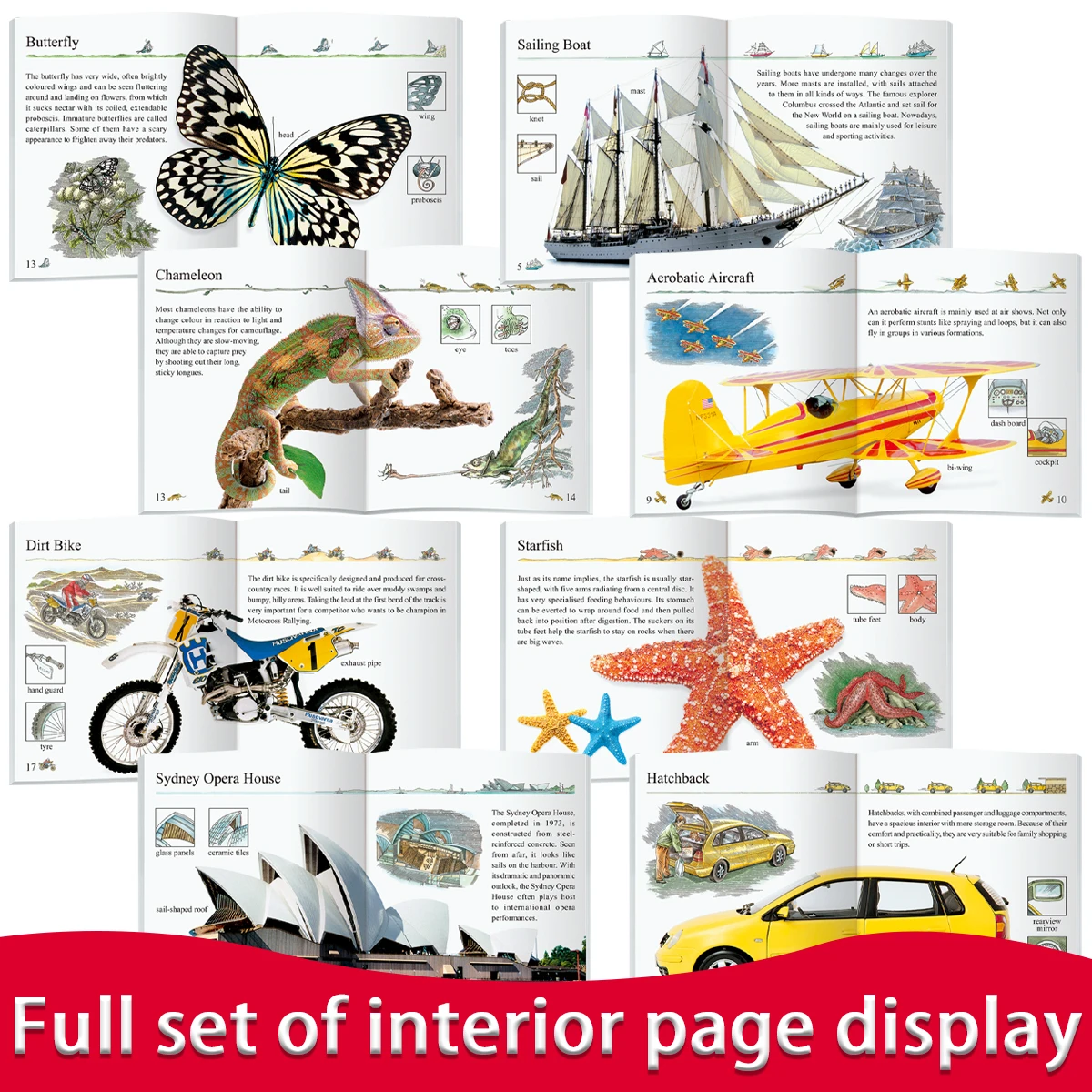 مجموعة كتب مكونة من 10 كتب لتعلم اللغة الإنجليزية للأطفال، مادة قراءة تعليمية للمعرفة الشاملة للأطفال