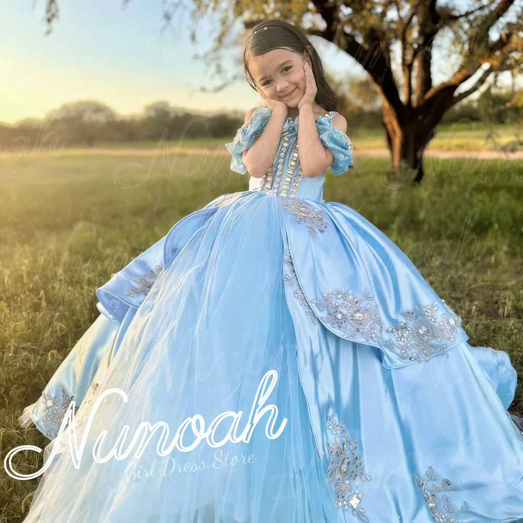 Blue Flower Girl Dresses for Wedding Lace Appliques Baby Girl Gown for Photoshoot with Trail First Communion Gowns Customized
