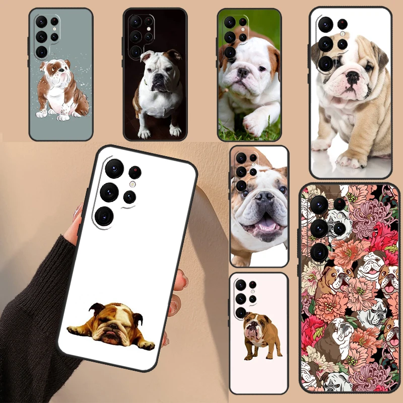 English Bulldog Cas… - image