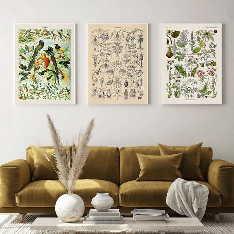 Vintage Style Species Illustration Poster Reptiles Algae Flowe Fish Insect Bird Canvas Painting Wall Art Picture Home Decor