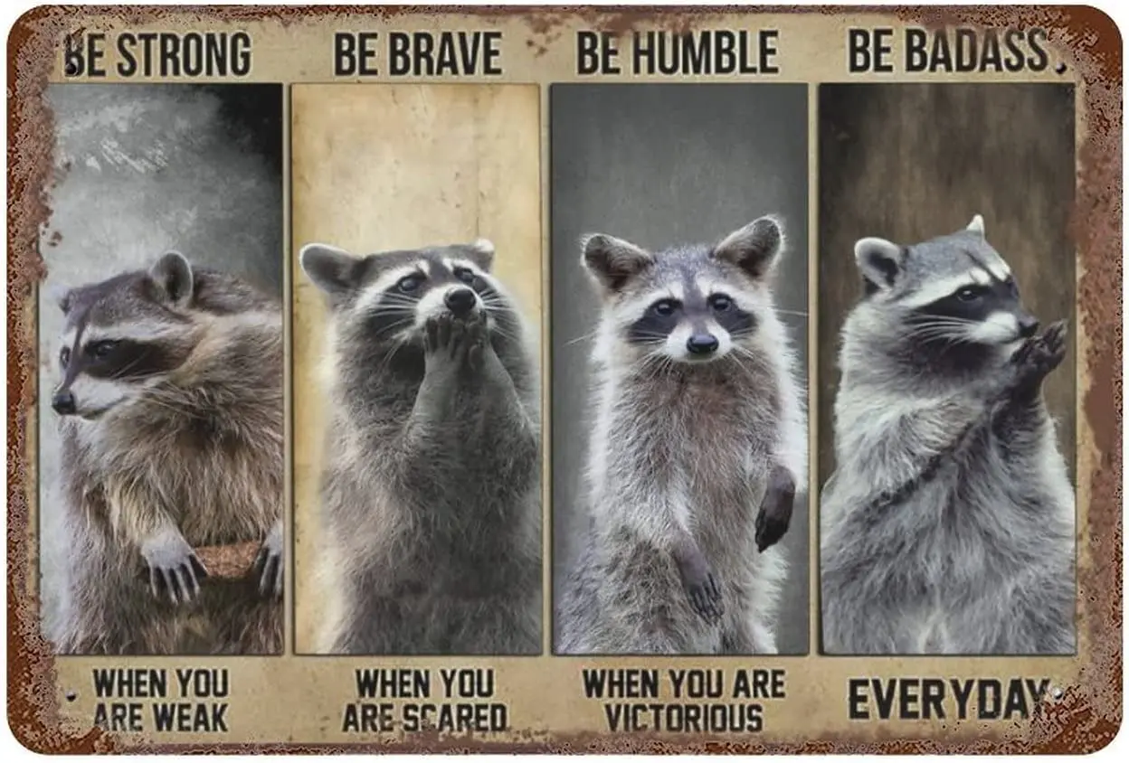 Raccoon Decor Poster citazione motivazionale Metal Tin Sign Vintage Raccoon Wall Art placca per Home Office camera da letto Bar 8x12 pollici