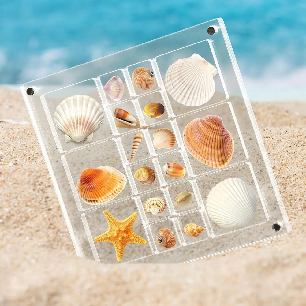 Acrylic Magnetic Seashell Display Box Seashell Display Diamond Storage Box Small Craft Organizers Compartment 18 Grids