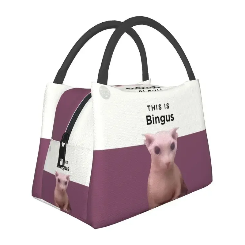 

Custom This Is Bingus Lunch Bags Men Men Kawaii Sphynx Cat Warm Cooler Insulated Lunch Boxes for Work Pinic or Travel