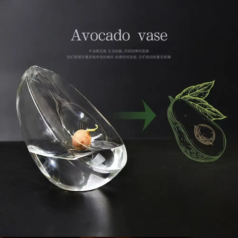 avocado-seed-starter-vase-transparent-glass-vase-for-growing-plant-glass-seed-growing-kit-for-gardening-lovers