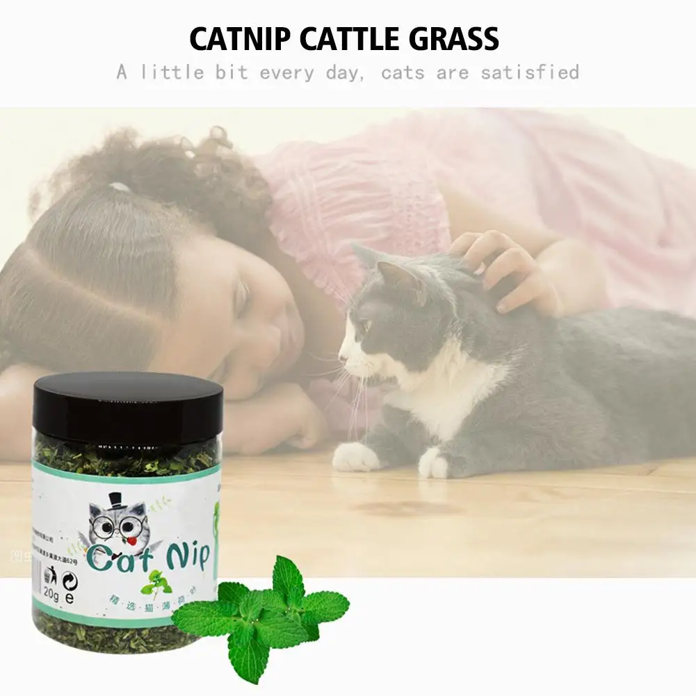 High-end Organic Natural High Quality Catnip Cattle 20g Interactive Taste Cat Funny Toys Pet Grass Toy Cat Supplies Mint E2W7