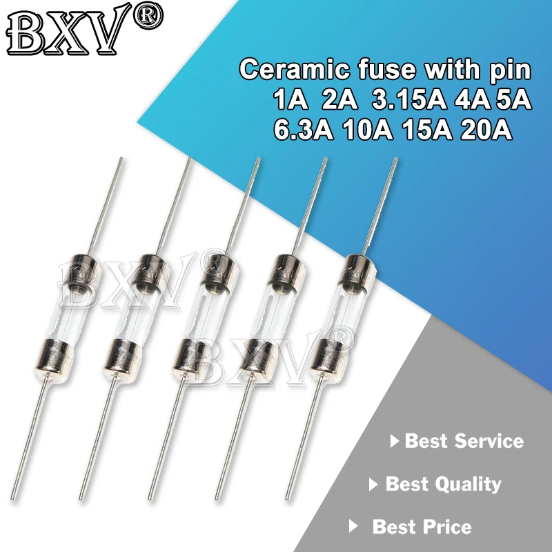 10PCS 5x20mm 5*20 Ceramic Fuse Slow Blow Tube Fuse With A Pin PUMUDDSY 250V 1A 2A 3.15A 4A 5A 6.3A 10A 15A 20A