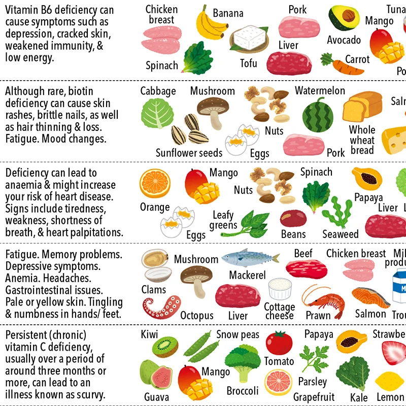 Vitamin Foods Reference Chart Poster Vitamins Minerals Print Nutrient Food Education Wall Art Canvas Painting Kitchen Decor