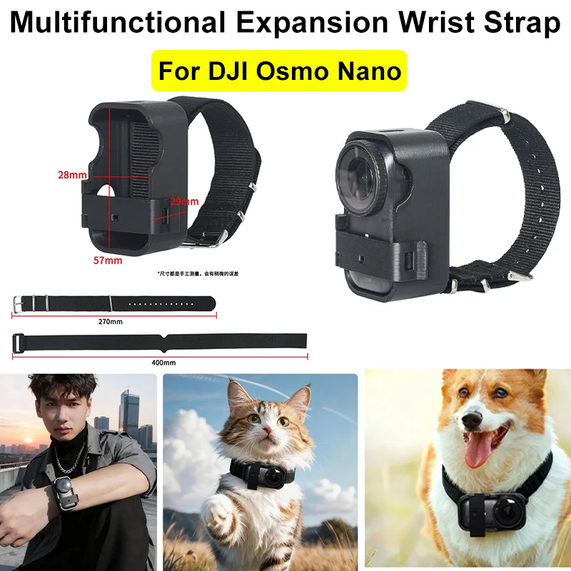 Multifunctional Exp…