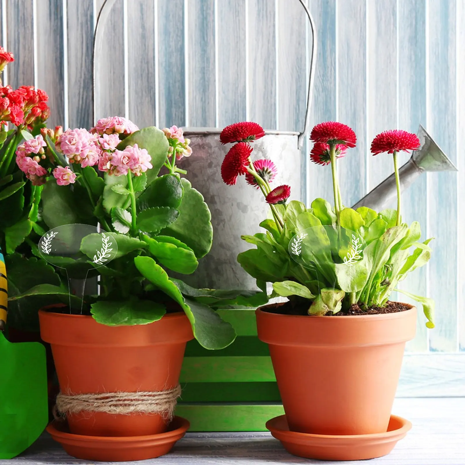 Acrylic Plant Markers for Home Gardeners to Easily Identify Plants, 12 Transparent Labels with 1 Marker Pen
