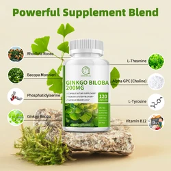 BBEEAAUU Ginkgo Biloba Extract Capsule Support Cardiovascular&Blood Health Promote Blood Circulation Anti-aging Boost Memory