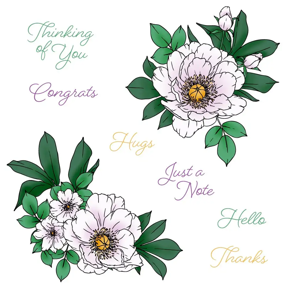

Peonies 3D Pop-Up Bag Honeys Wallet Metal Cutting Dies Clear Stamp Lines Stencil for DIY Making Card Scrapbook Decoration 2026