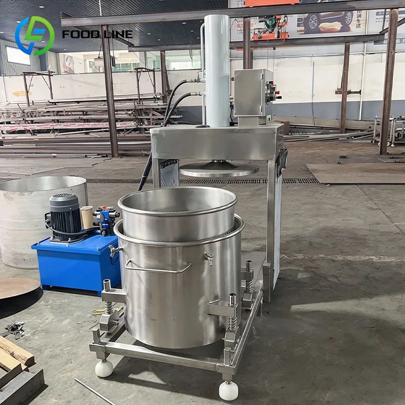 Hydraulic Juice Extractor Hydraulic Fruit Press Commercial Machine for Sweet Orange and Mandarin Juice Customized