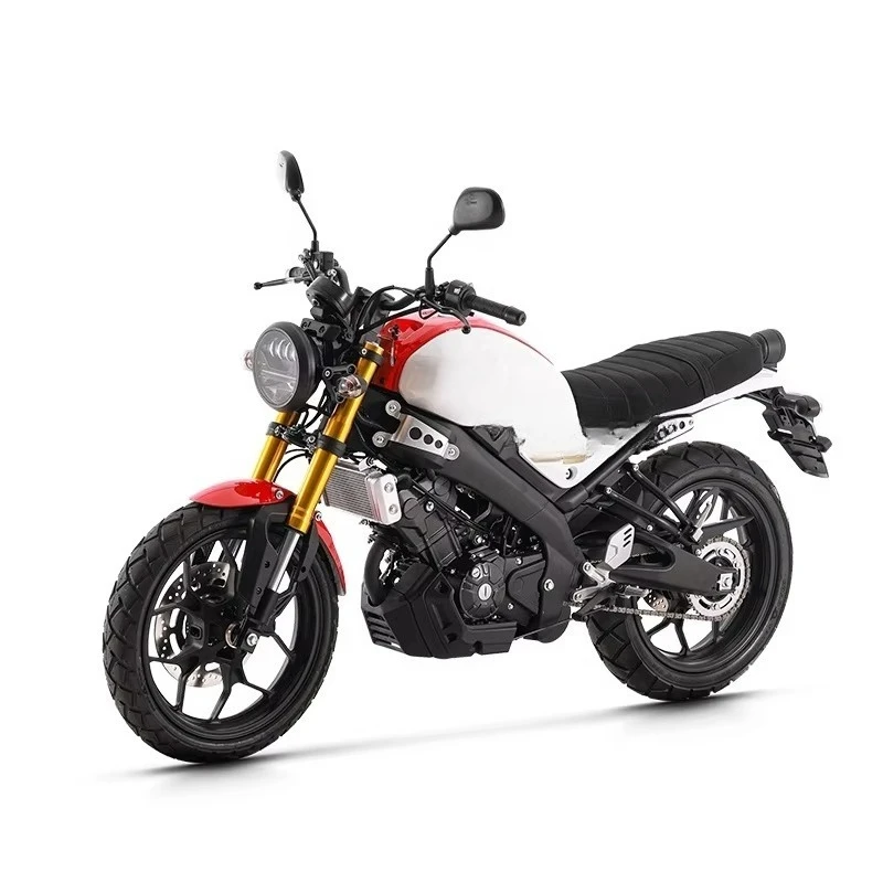 High Performance Motorcycle Sports Car with Disc Brakes Ultra High Speed 100 km/h Adult Motorcycle