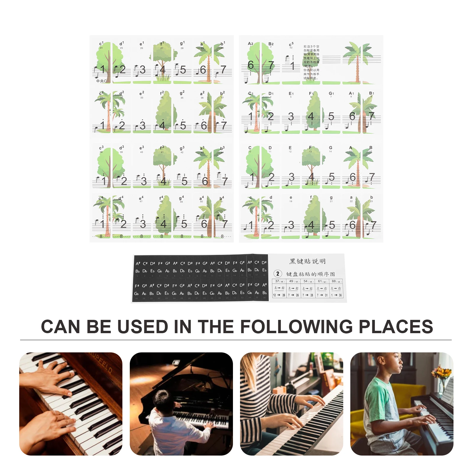 

Keyboard Stickers Waterproof Durable Anti-Sweat Wear-Resistant Long-Lasting No Residue Easy Remove Piano Beginner Decals