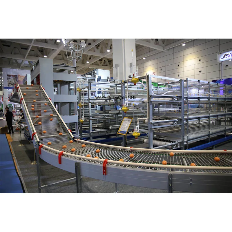 

Layer cage automatic egg picking system egg picking machine