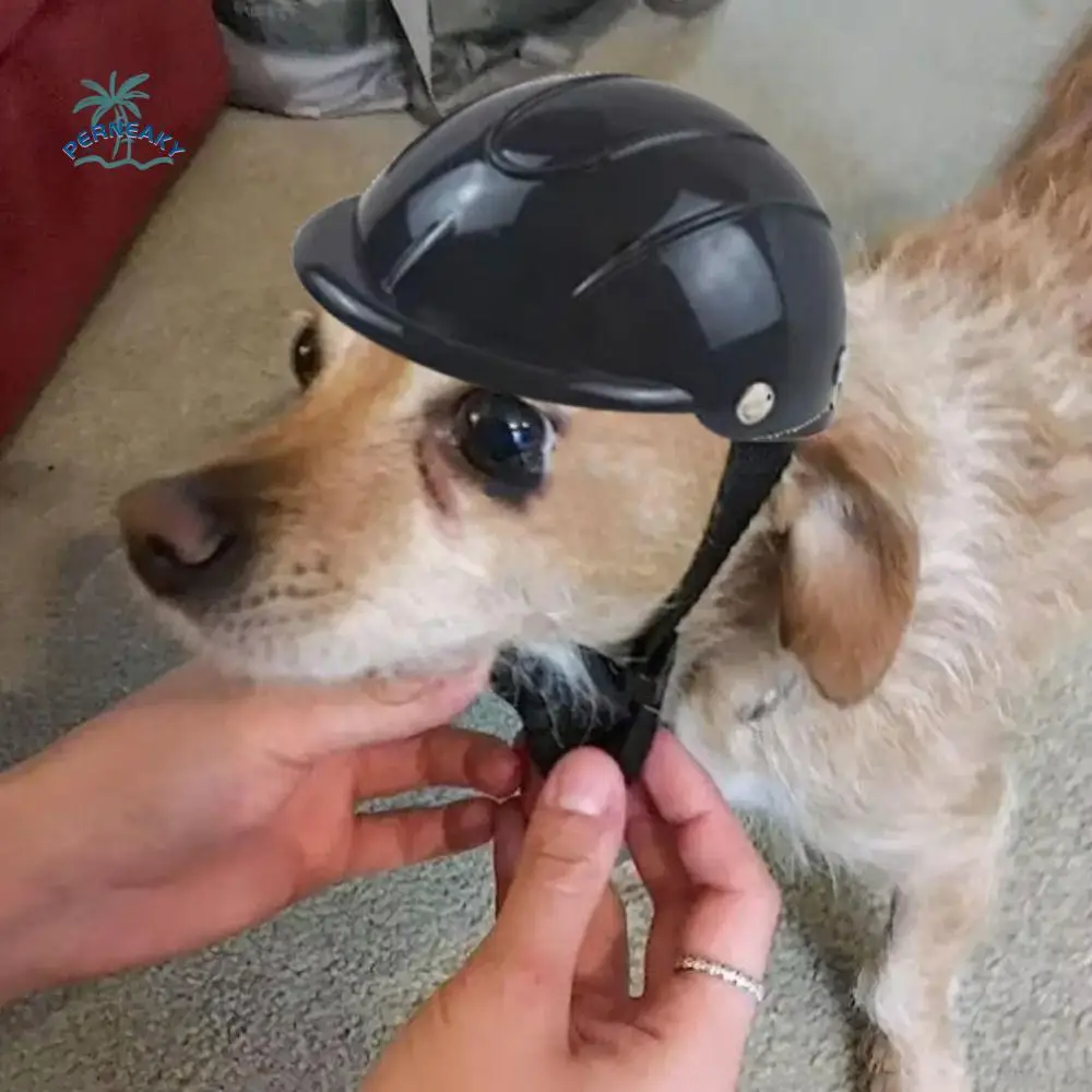 

Adjustable Dog Helmet Windproof Breathable Pet Motorcycle Helmet Cap Plastic Wear Resistant Pet Safety Helmets