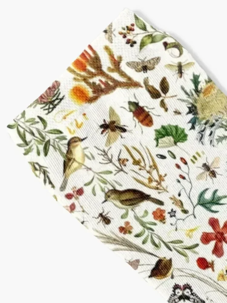 Biology Australia. Socks designer floor Rugby Soccer Socks Woman Men's