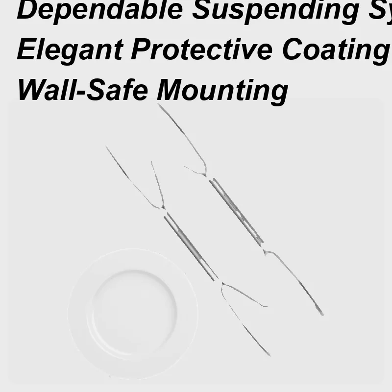 

Plate Hangers For The Wall Plate Wall Hangers Auto Retractable Spring W Shape Hook Shelf For Display Area Kitchen Workplace