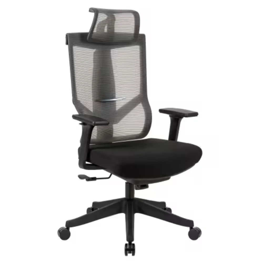 

Ergonomic Office Chair,Mesh Back Office Chair,High Back Computer Chair with Lumbar Support,Breathable Mesh2D Headrest,2D Armrest