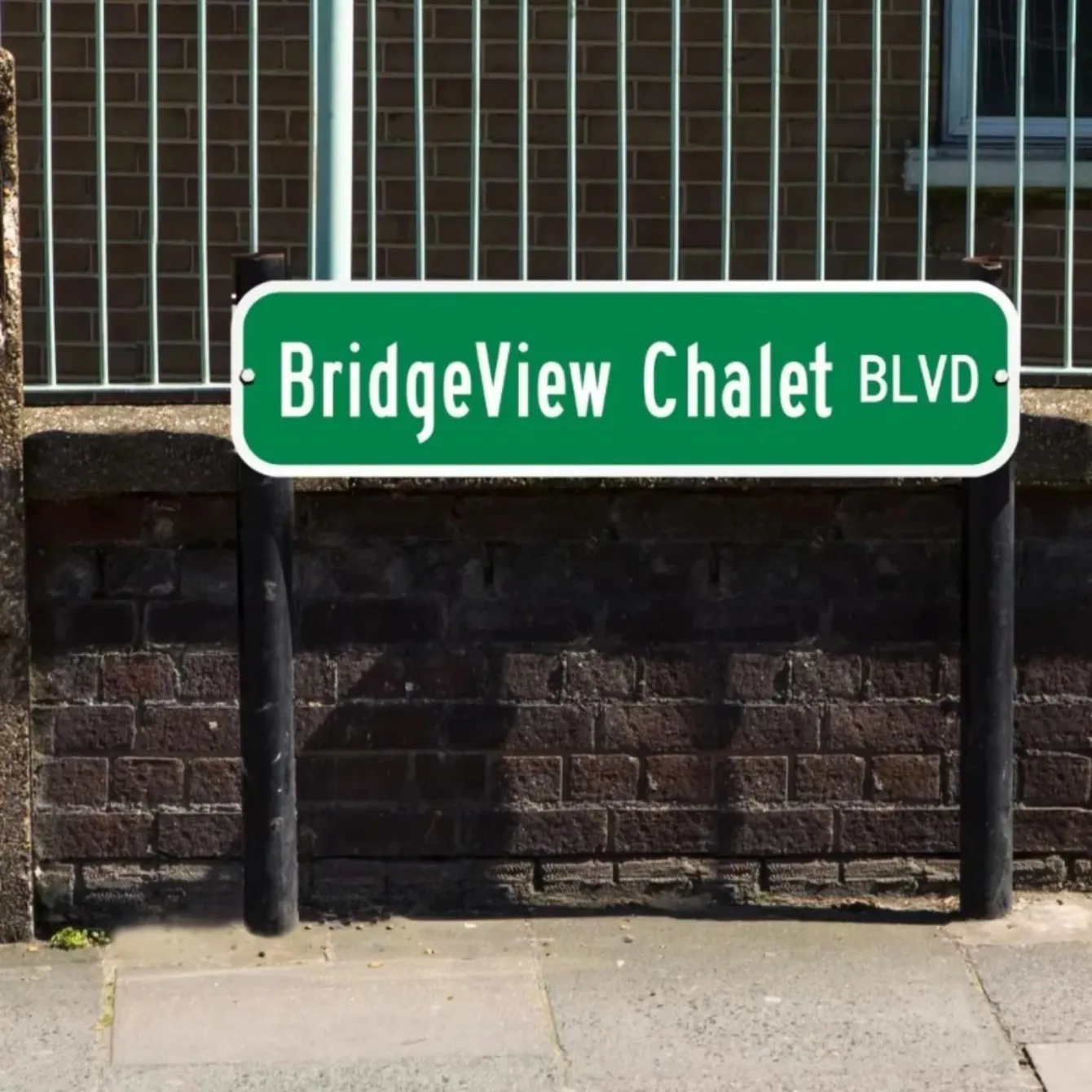 Personalized Green Street Sign (Customizable) - Custom Exclusive Metal Sign with Custom Text, Ideal for Outdoor Decor.