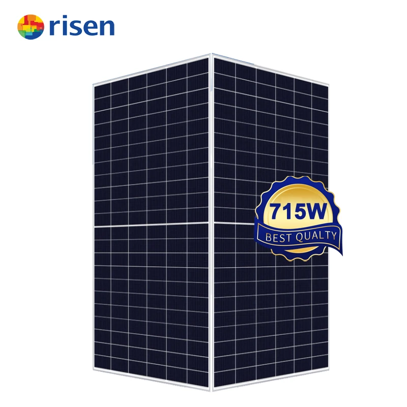 In Stock  RSM132-8-700-715BHDG 700-715W Solar Panel N Type HJT Bifacial Module for Home, Factory Rooftop & Carport