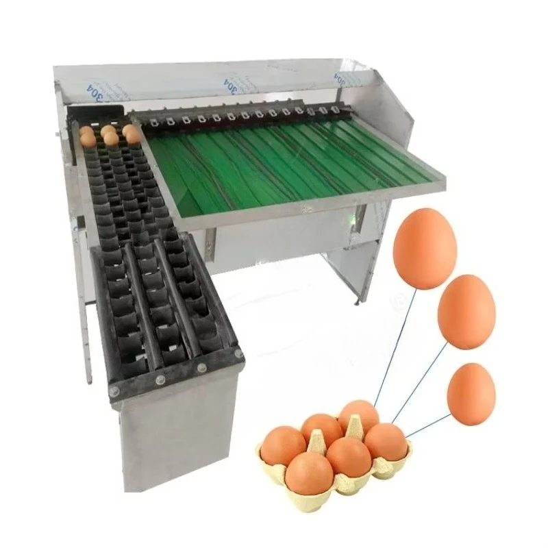 

Customized Poultry Egg Sorting Machine Size Selecting with Ink Jet Printer Heavy Duty Chicken Farm Egg Grader