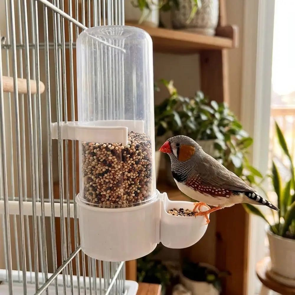 240ML Capacity Automatic Bird Feeder Leak-Proof Detachable Base Cage Hanging Feeder Plastic Hummingbird Feeder