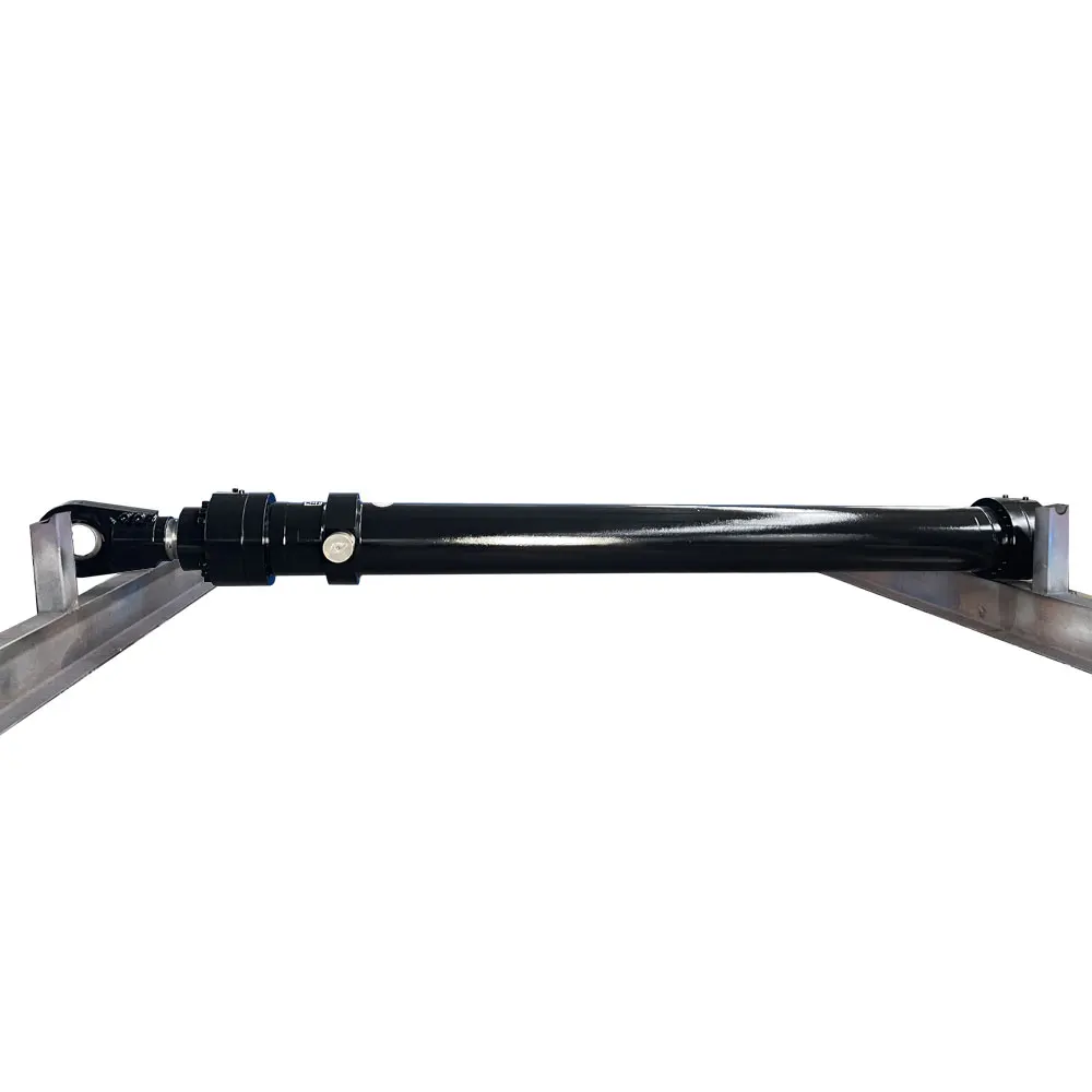 2 6 Meter Hydraulic Cylinder with Good Price