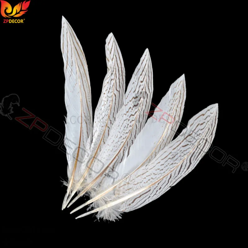 

15-20 CM 6-8 Inch Silver Pheasant Tail Feathers Color can be custom