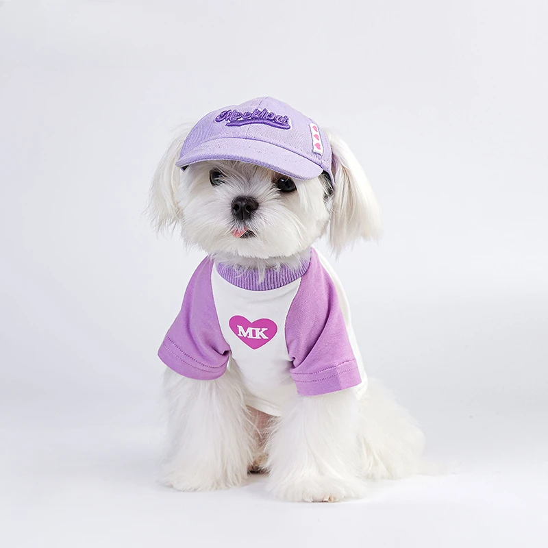 Pet Dog Hat Small Teddy Cat Shade Ears Corgi