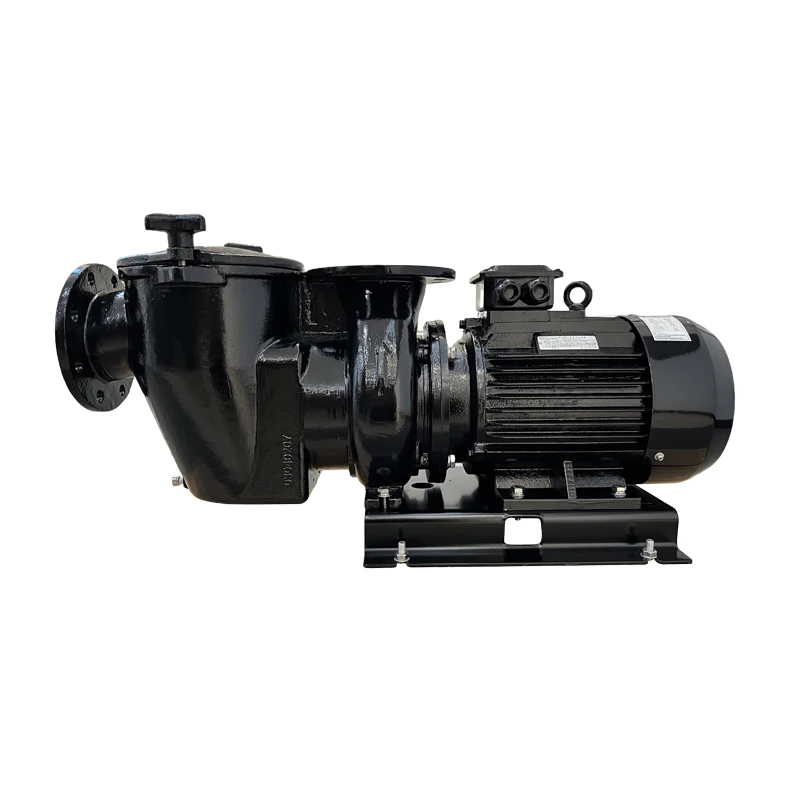 

Commercial Pool Pump High Flow Cast Iron Centrifugal Filter High Performance Circulating Water Pump
