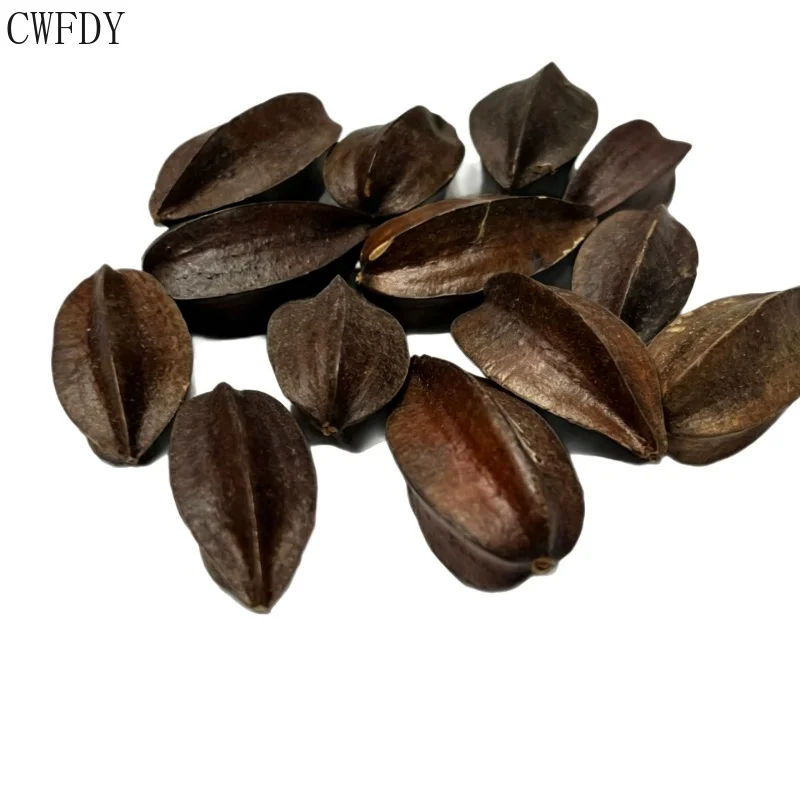 20-pieces-en-gros-de-gousses-de-sene-naturelles-sechees-fruits-de-plantes-sechees-accessoires-diy-faits-a-la-main-materiel-de-decoration-pour-vases-de-fleurs-sechees