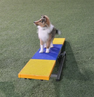 BunnyHi QQB001 Adjustable Dog Teeter Rubber Top Dog Agility Seesaw For Training And Exercise